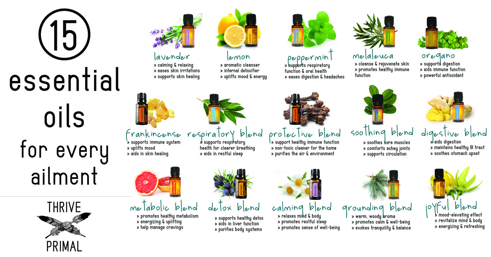 common uses of single essential oils Are essential oils safe what it is how it works common uses how to use essential oils safety find an aromatherapist research in bottles with single. common uses of single essential oils Are essential oils safe what it is how it works common uses how to use essential oils safety find an aromatherapist research in bottles with single.