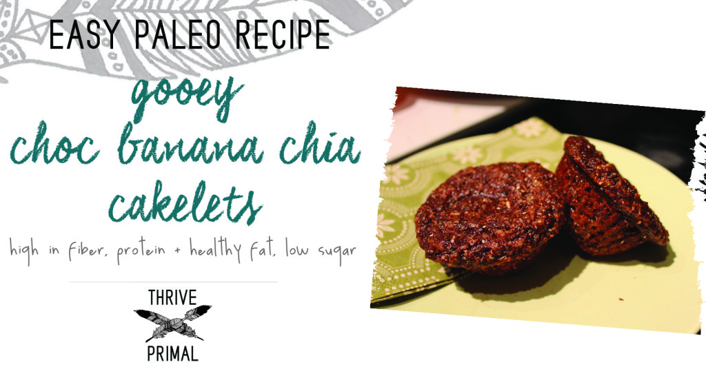 Chocolate Chia Cake Paleo Chocolate Chia Cake Paleo