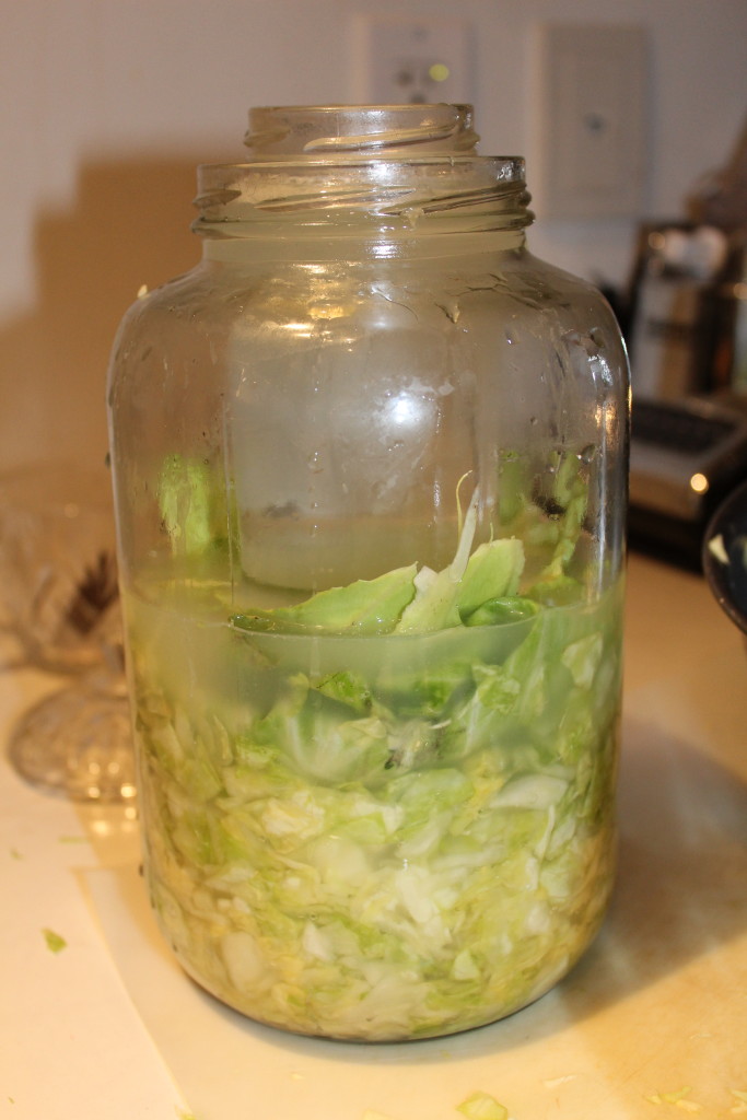 how to make sauerkraut - step 3