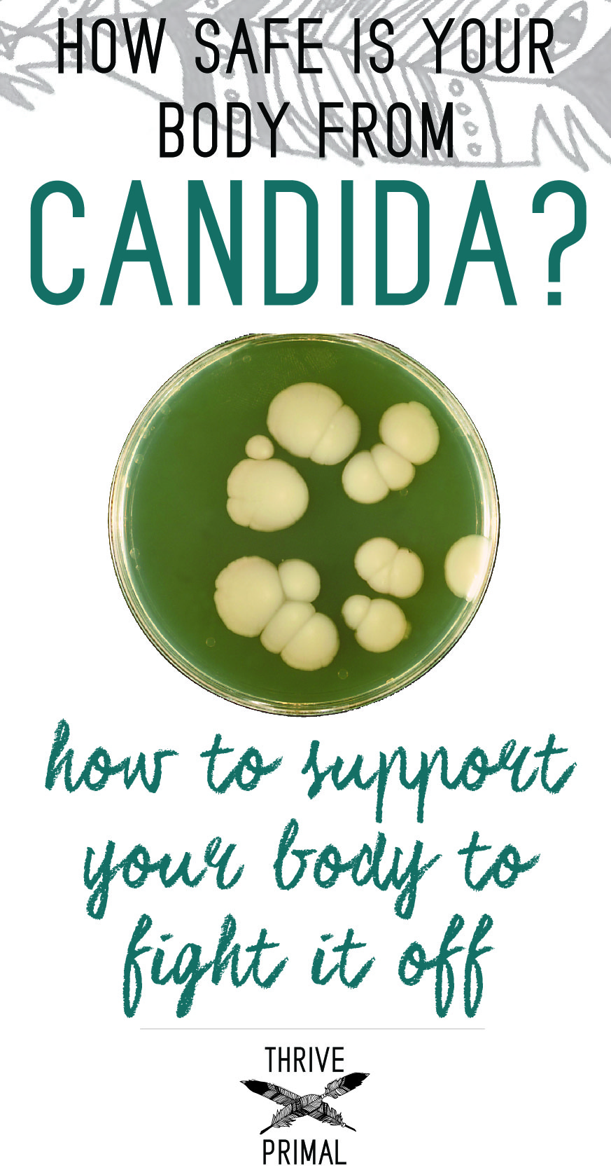 Thrive Primal - candida remedies and foods