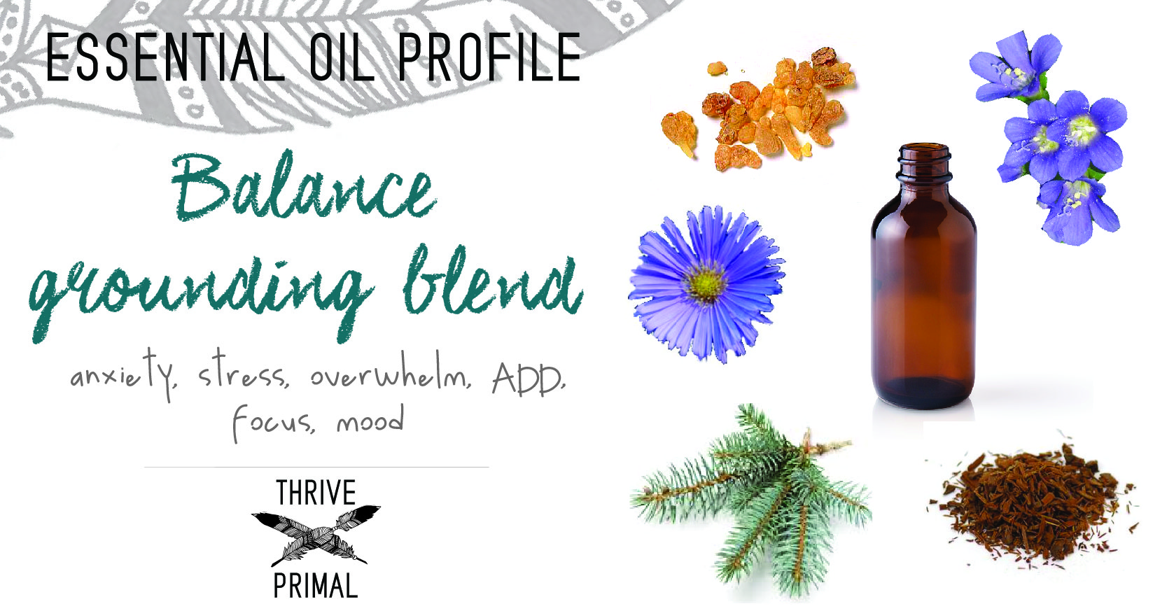 Thrive Primal - doTERRA balance essential oil