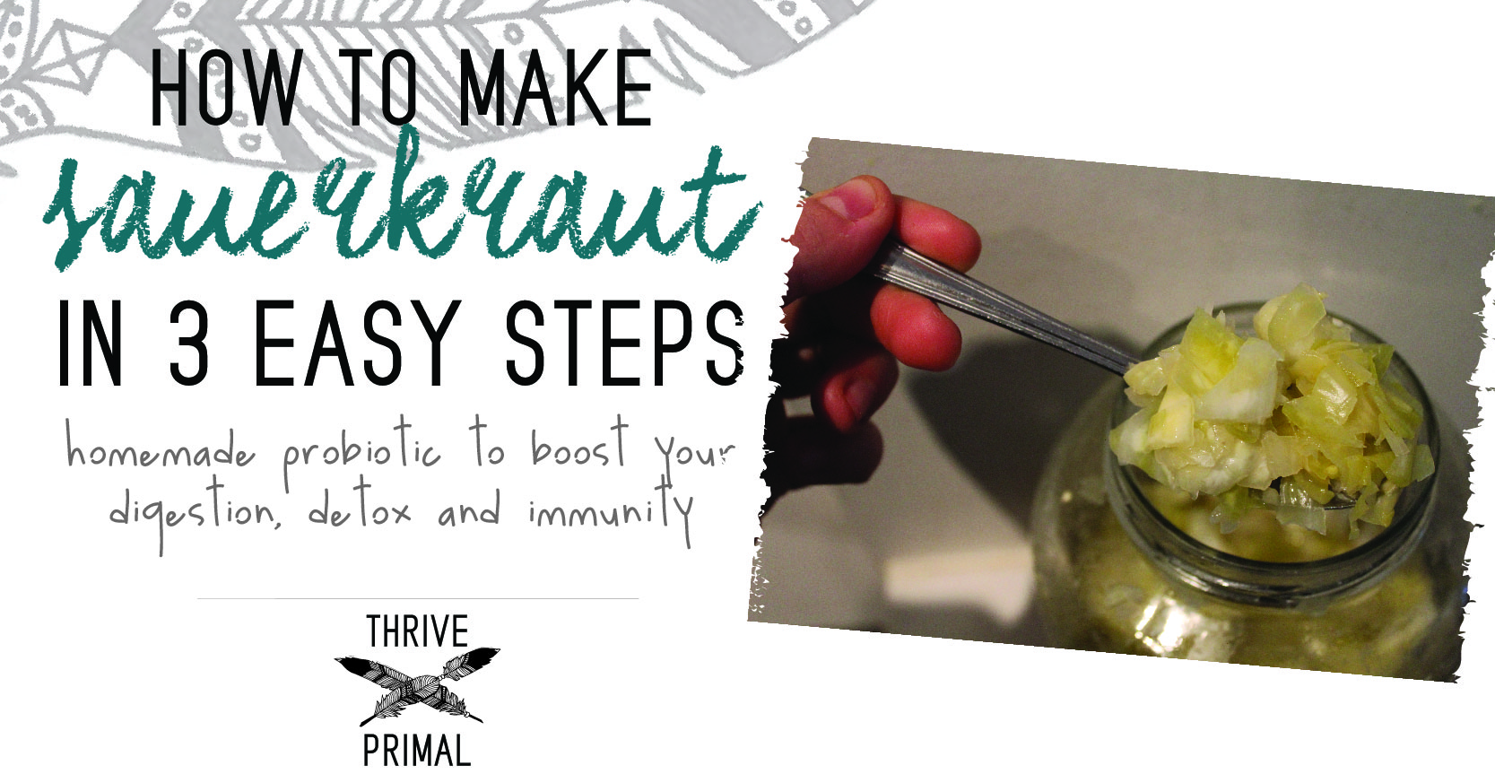 How to Make Sauerkraut in 3 Easy Steps DIY Probiotic!