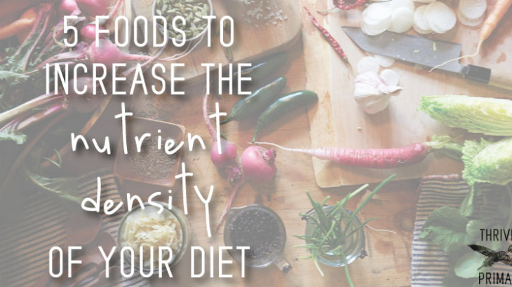 How to increase nutrient density paleo diet