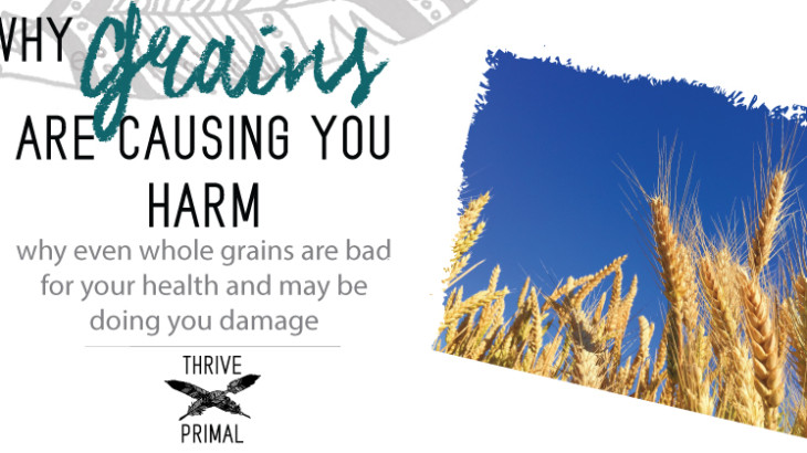 grains are bad for your health